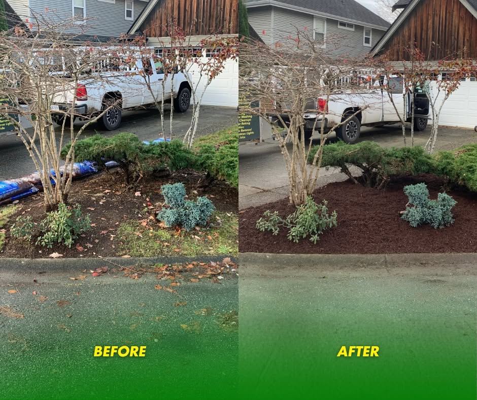 Before and after: A garden bed transformed along the driveway